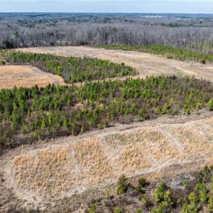 Photo #20 of 14974 NC Highway 86, Prospect Hill, NC 53.5 acres