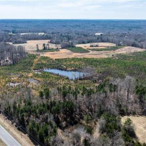 Photo #9 of 14974 NC Highway 86, Prospect Hill, NC 53.5 acres