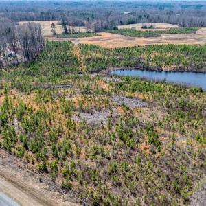 Photo #10 of 14974 NC Highway 86, Prospect Hill, NC 53.5 acres