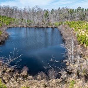 Photo #14 of 14974 NC Highway 86, Prospect Hill, NC 53.5 acres