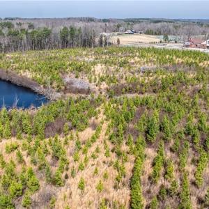 Photo #18 of 14974 NC Highway 86, Prospect Hill, NC 53.5 acres