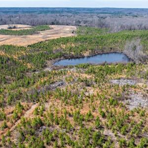 Photo #11 of 14974 NC Highway 86, Prospect Hill, NC 53.5 acres