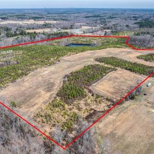 Photo #8 of 14974 NC Highway 86, Prospect Hill, NC 53.5 acres