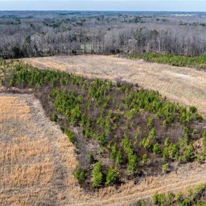 Photo #21 of 14974 NC Highway 86, Prospect Hill, NC 53.5 acres