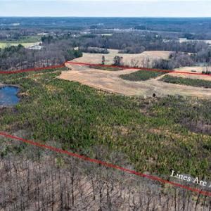 Photo #24 of 14974 NC Highway 86, Prospect Hill, NC 53.5 acres