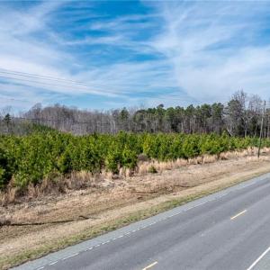 Photo #4 of 14974 NC Highway 86, Prospect Hill, NC 53.5 acres