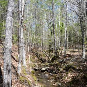 Photo #23 of 230 Dibrell, Pelham, NC 97.6 acres