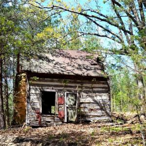 Photo #27 of 230 Dibrell, Pelham, NC 97.6 acres