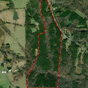 Photo #2 of 230 Dibrell, Pelham, NC 97.6 acres