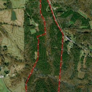 Photo #42 of 230 Dibrell, Pelham, NC 97.6 acres