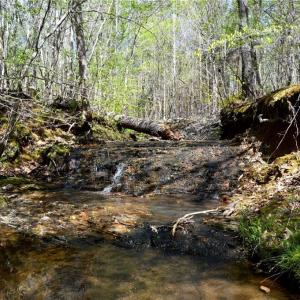 Photo #17 of 230 Dibrell, Pelham, NC 97.6 acres