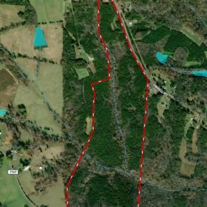 Photo #43 of 230 Dibrell, Pelham, NC 97.6 acres