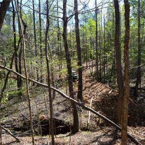 Photo #5 of 230 Dibrell, Pelham, NC 97.6 acres