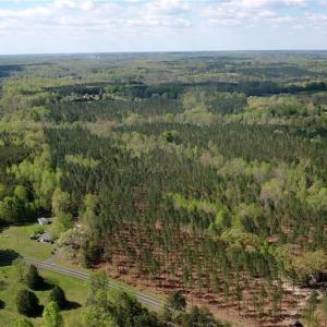 Photo #30 of 230 Dibrell, Pelham, NC 97.6 acres