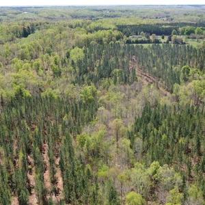 Photo #38 of 230 Dibrell, Pelham, NC 97.6 acres