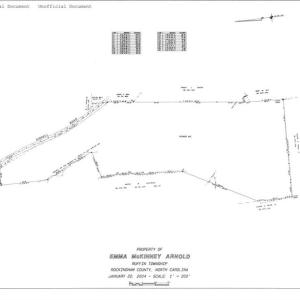 Photo #41 of 230 Dibrell, Pelham, NC 97.6 acres