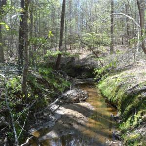 Photo #11 of 230 Dibrell, Pelham, NC 97.6 acres