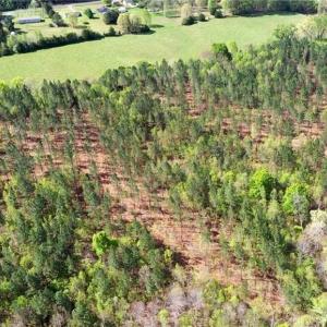 Photo #39 of 230 Dibrell, Pelham, NC 97.6 acres