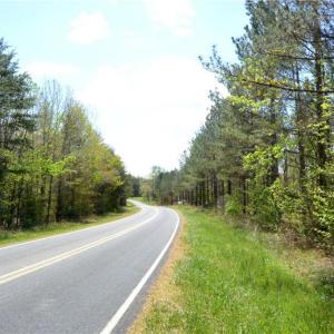 Photo #29 of 230 Dibrell, Pelham, NC 97.6 acres