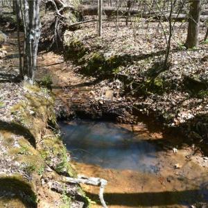 Photo #25 of 230 Dibrell, Pelham, NC 97.6 acres