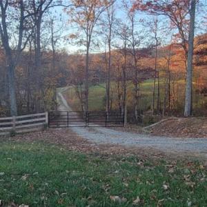 Photo #20 of 210 Towe, Cana, VA 6.3 acres