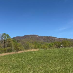 Photo #9 of 210 Towe, Cana, VA 6.3 acres