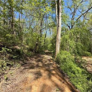 Photo #14 of 210 Towe, Cana, VA 6.3 acres