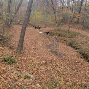 Photo #18 of 210 Towe, Cana, VA 6.3 acres