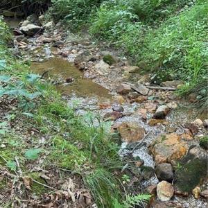 Photo #19 of 210 Towe, Cana, VA 6.3 acres
