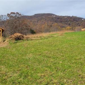 Photo #8 of 210 Towe, Cana, VA 6.3 acres