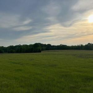 Photo #13 of 2335 Holiday, Reidsville, NC 25.7 acres