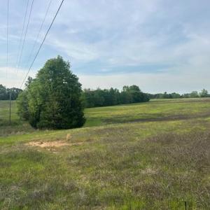 Photo #16 of 2335 Holiday, Reidsville, NC 25.7 acres