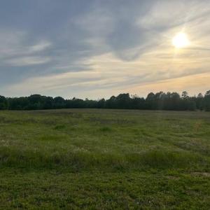 Photo #12 of 2335 Holiday, Reidsville, NC 25.7 acres
