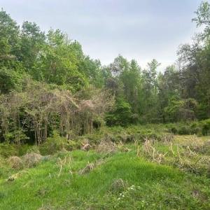 Photo #10 of 2335 Holiday, Reidsville, NC 25.7 acres