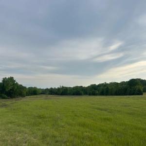 Photo #14 of 2335 Holiday, Reidsville, NC 25.7 acres