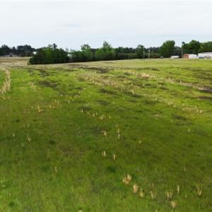 Photo #8 of 2335 Holiday, Reidsville, NC 25.7 acres