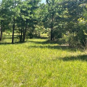 Photo #2 of Julia, Thomasville, NC 8.6 acres