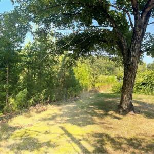 Photo #6 of Julia, Thomasville, NC 8.6 acres