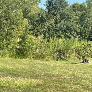 Photo #3 of Julia, Thomasville, NC 8.6 acres