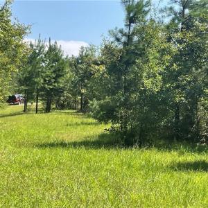 Photo #1 of Julia, Thomasville, NC 8.6 acres
