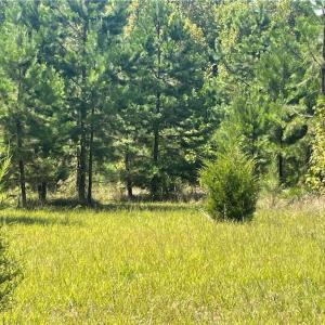 Photo #5 of Julia, Thomasville, NC 8.6 acres