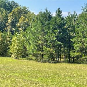 Photo #4 of Julia, Thomasville, NC 8.6 acres