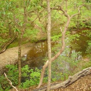 Photo #23 of Dan, Robbins, NC 45.6 acres