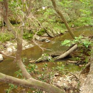 Photo #43 of Dan, Robbins, NC 45.6 acres