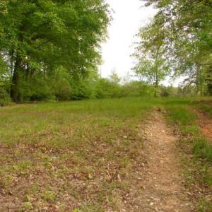 Photo #26 of Dan, Robbins, NC 45.6 acres