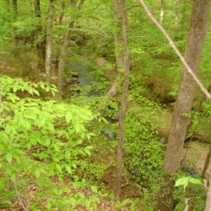 Photo #22 of Dan, Robbins, NC 45.6 acres