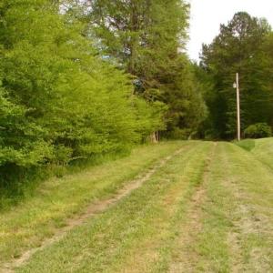 Photo #7 of Dan, Robbins, NC 45.6 acres