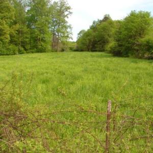 Photo #3 of Dan, Robbins, NC 45.6 acres