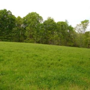 Photo #32 of Dan, Robbins, NC 45.6 acres