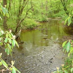 Photo #1 of Dan, Robbins, NC 45.6 acres